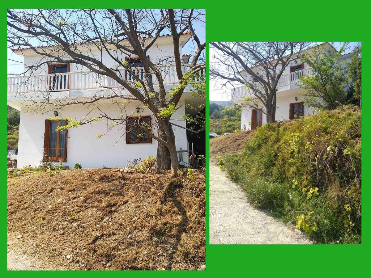 Kampos View Ikaria Apartment Evdilos  Ngoại thất bức ảnh