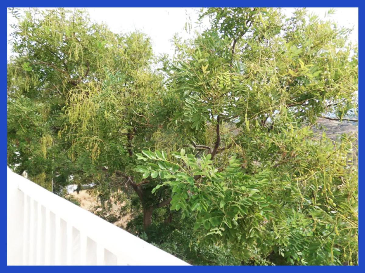 Kampos View Ikaria Apartment Evdilos  Ngoại thất bức ảnh